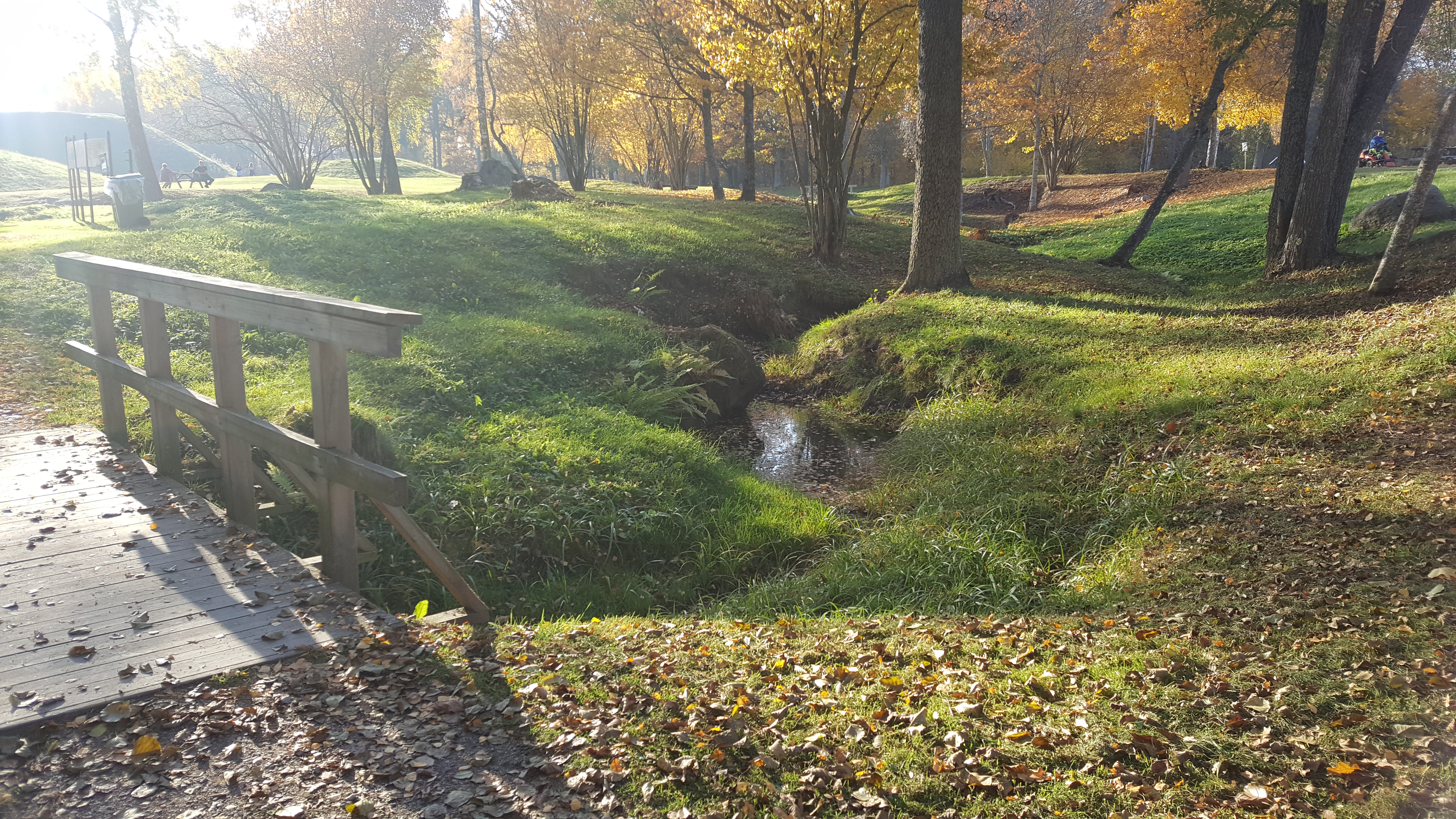 Läkning i naturen